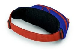 Osprey Daylite Heuptas - Blauw/Oranje 9 Osprey Daylite Heuptas - Blauw/Oranje -Winkel Voor Kampeerartikelen Voor Buiten 1900 1425 daylitewaist s23 sideback silverliningblueberry 10005144