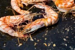 OFYR Kookboek -Winkel Voor Kampeerartikelen Voor Buiten 800 1200 cb no1 nl fr 3