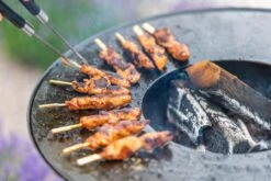 RedFire ONYX Classic Vuurschaal Bbq - 80 Cm 17 RedFire ONYX Classic Vuurschaal Bbq - 80 Cm -Winkel Voor Kampeerartikelen Voor Buiten 85208 lifestyle 06 1