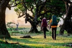 Osprey Rook Backpack - 65 Liter - Zwart -Winkel Voor Kampeerartikelen Voor Buiten osprey rennrook